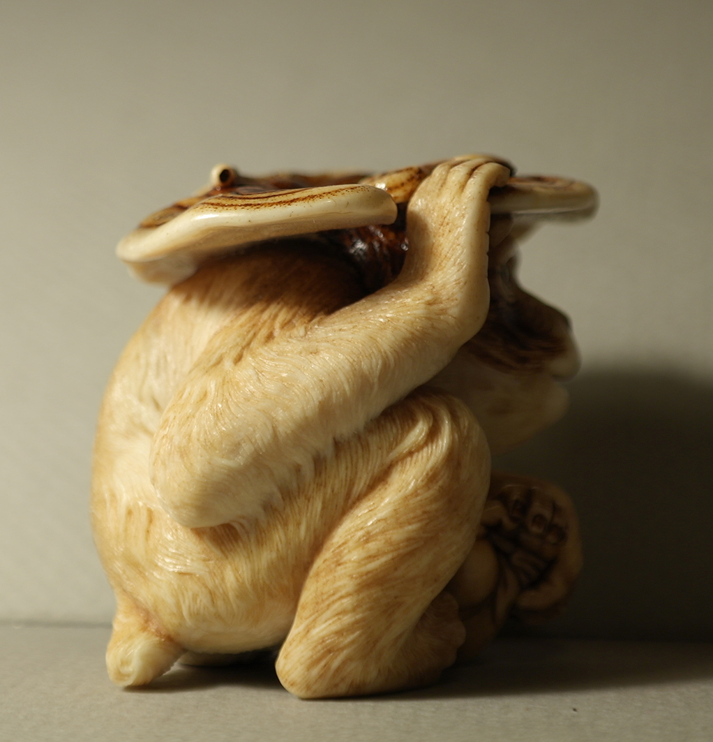 Monkey and reishi007